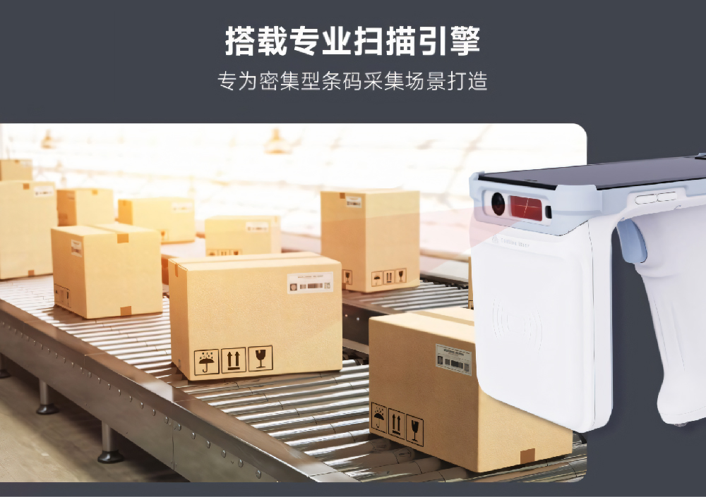 49629澳网