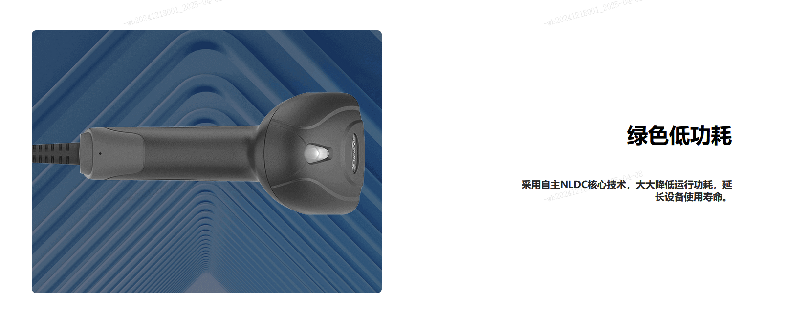 49629澳网
