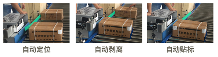 49629澳网