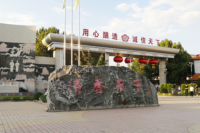 49629澳网